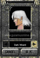 Dark Wizard (DW) / Soul Master (SM)